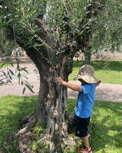 Niño